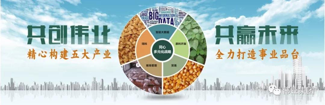 湖南jdb电子集团,jdb电子动物,猪场管理,非常规饲料原料开发,饲料
