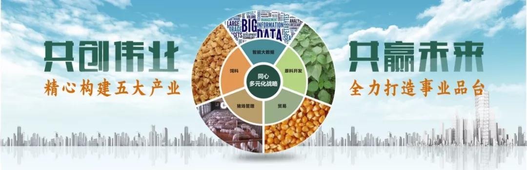 湖南jdb电子集团,jdb电子动物,猪场管理,非常规饲料原料开发,饲料