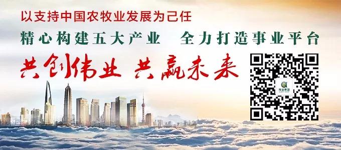 湖南jdb电子集团,jdb电子动物,猪场管理,非常规饲料原料开发,饲料
