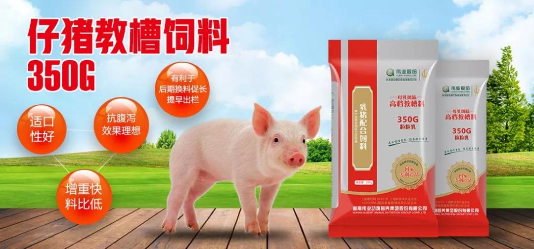 湖南jdb电子集团,jdb电子动物,猪场管理,非常规饲料原料开发,饲料