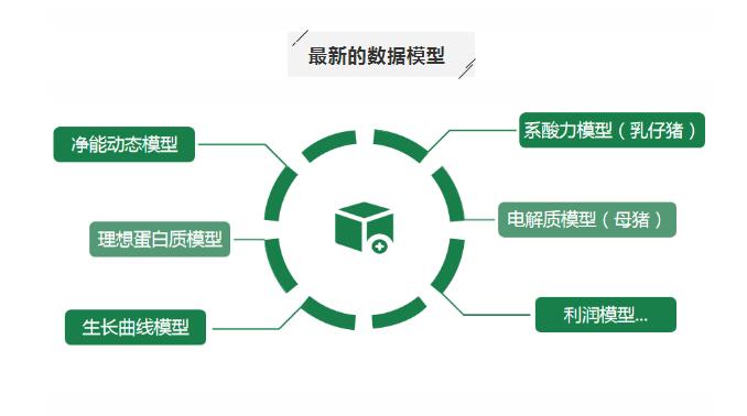 湖南jdb电子集团,jdb电子动物,猪场管理,非常规饲料原料开发,饲料